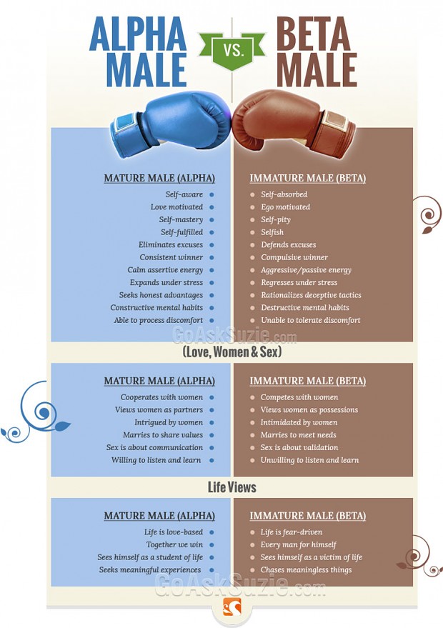 understanding-the-alpha-beta-omega-and-other-personality-types