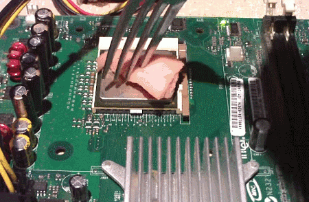 Amd makes the best bacon.