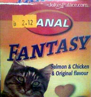 Best for your cat