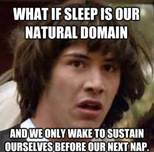 The natural domain