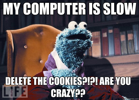 DELETE THE COOKIES!? ARE YOU CRAZY!?