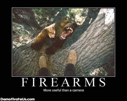 Firearms...