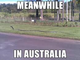 we love you australia
