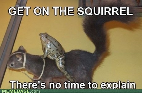 Get on the squirrel