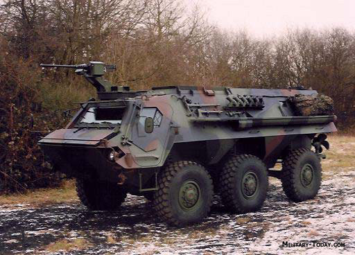 Transportpanzer 1 Fuchs