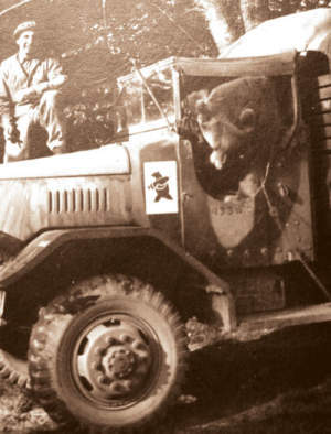 Kickass Soldier Bear  & a Truck