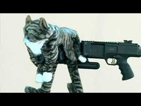 Kat. I'm a kitty kat. And i meow meow meow...