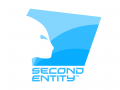 Second Entity LLC
