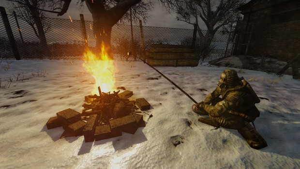 Campfire in the cold