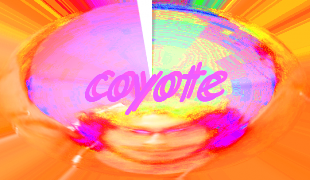 cyoote 2