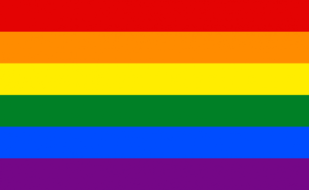 Gay Pride Flag 5