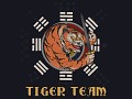 Tiger Team
