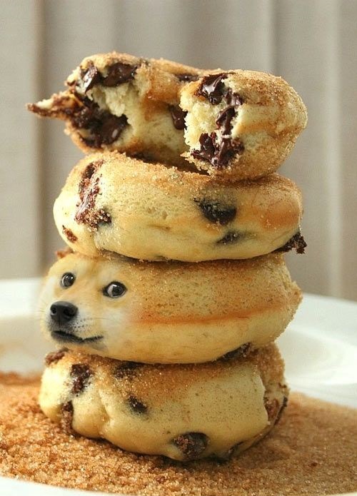 Doge Cookie.