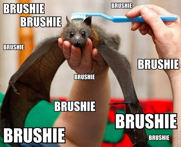 Brushie Brushie Brushie bat