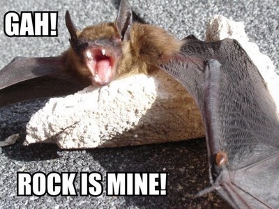 LOL bats