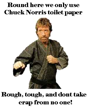 Chuck norris Toilet
