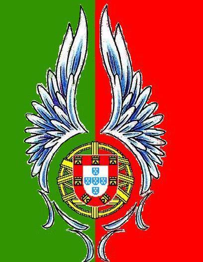 Portuguese Flag Concept 2