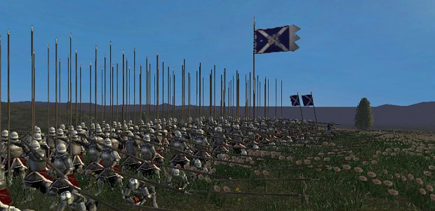 Some medieval infantry