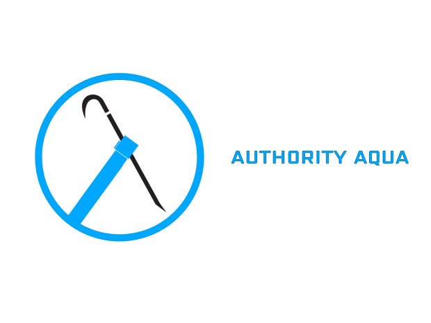 Authority Aqua (Logo)