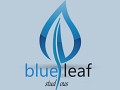 Blue Leaf Inc