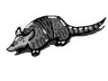 Io Software