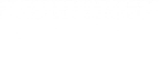 Logotipo Politecnico Leiria WHIT 5