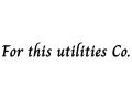 For this utilities Co.