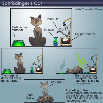Scrodinger's cat