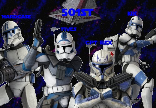 THe 501st