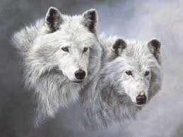 great wolves