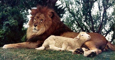 The Lion and Lamb