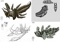 Insect concepts