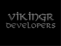 Vikingr Developer Group