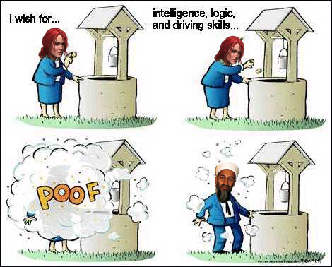 Triss tries a WRONG Wish