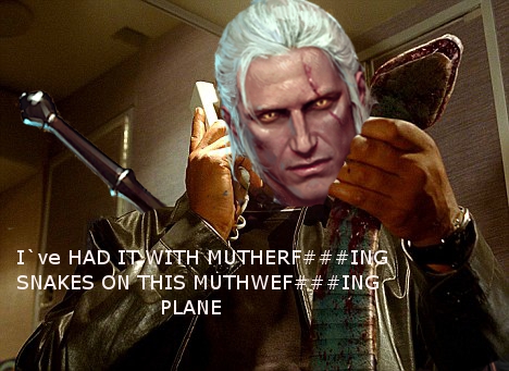 Geralt discovers a snake on his plane