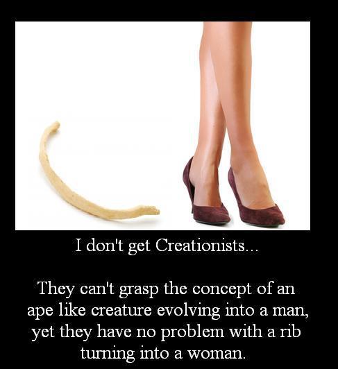 Don't Understand creationists