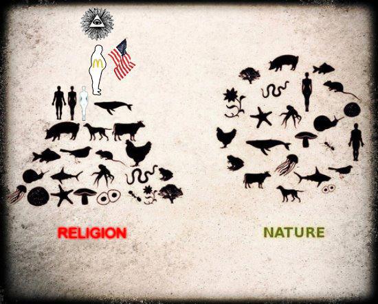Religion vs. Reality