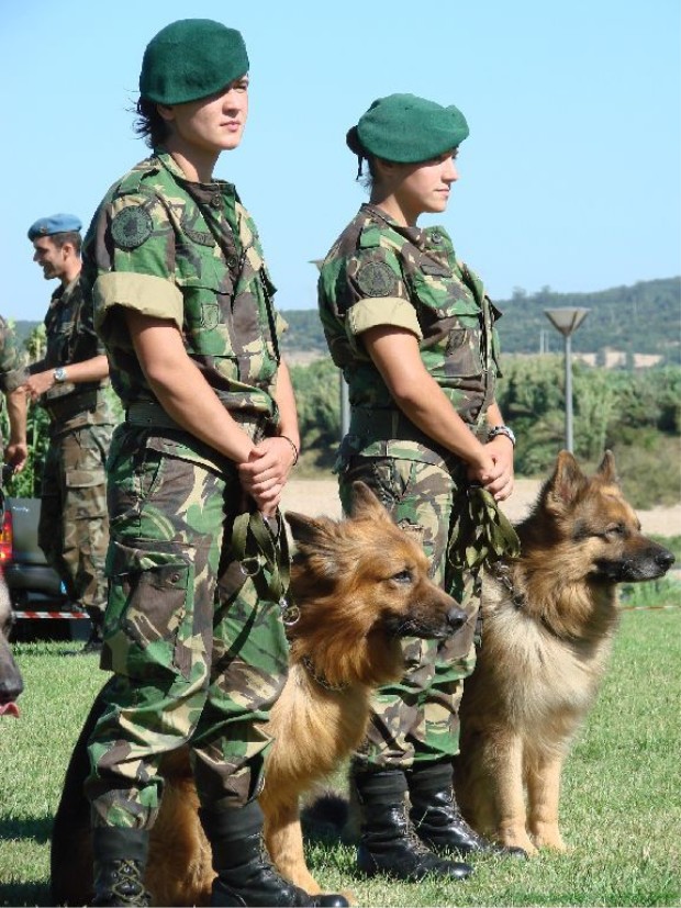 Portuguese Army paratroopers