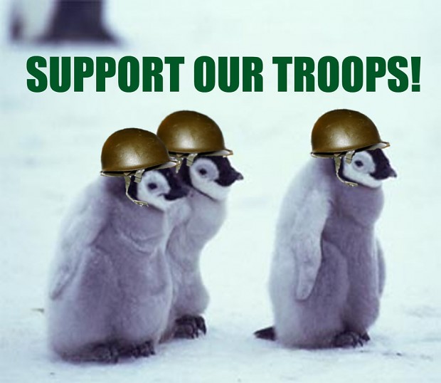 Support our Troops !
