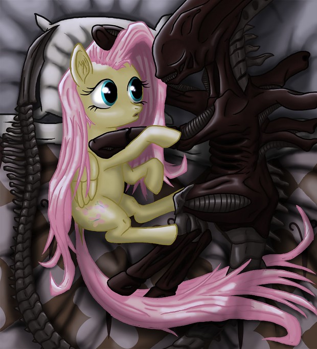 fluttershy gets along with everything.