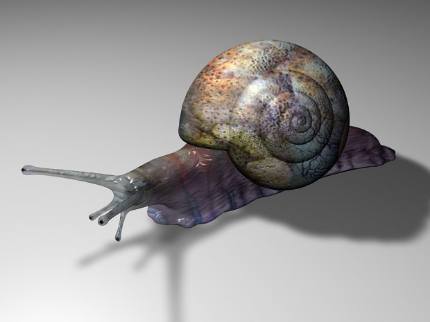 3D snail