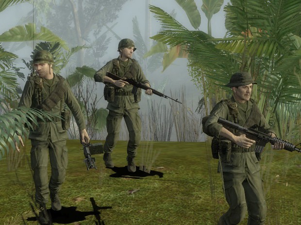 Troops in Vietnam