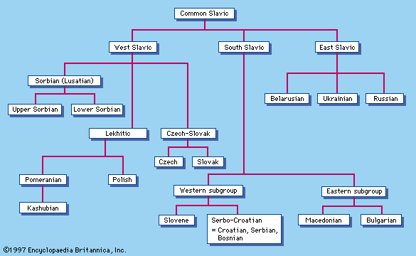 Map of slavic languages