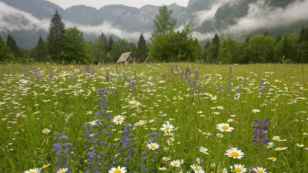 National park in Slovenia