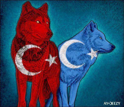 Turkiye and East Turkistan <3 <3 <3