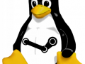 Steam for linux distros