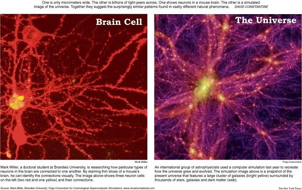 A Brain Cell & the Universe