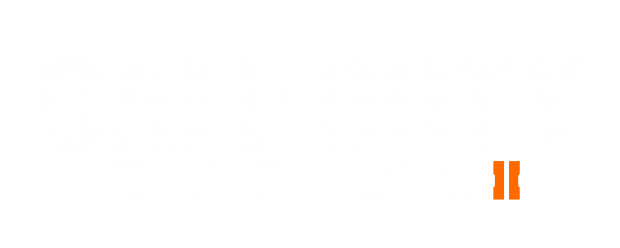 Logos Black Ops 2