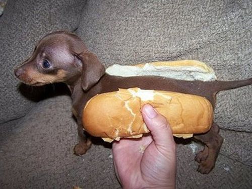 Real Hot Dog