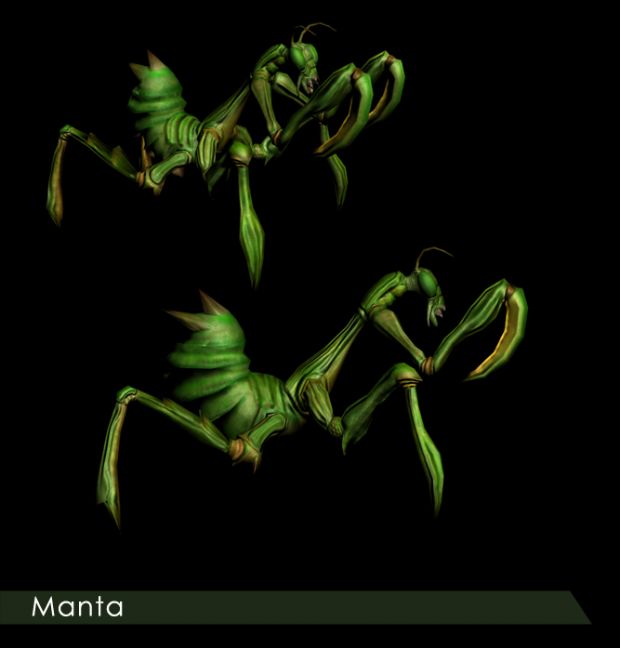 Manta - WIP